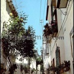 -Photography extracted from Plasesmas.com  (Calle Las Flores, La Rambla, 1956)